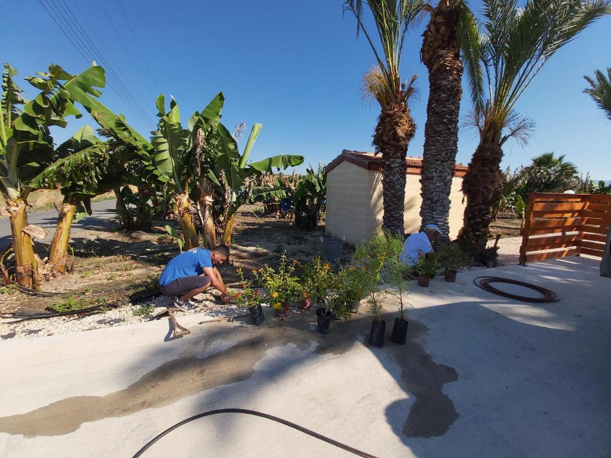 Argaka Palm Tree Apts Eksteriør bilde