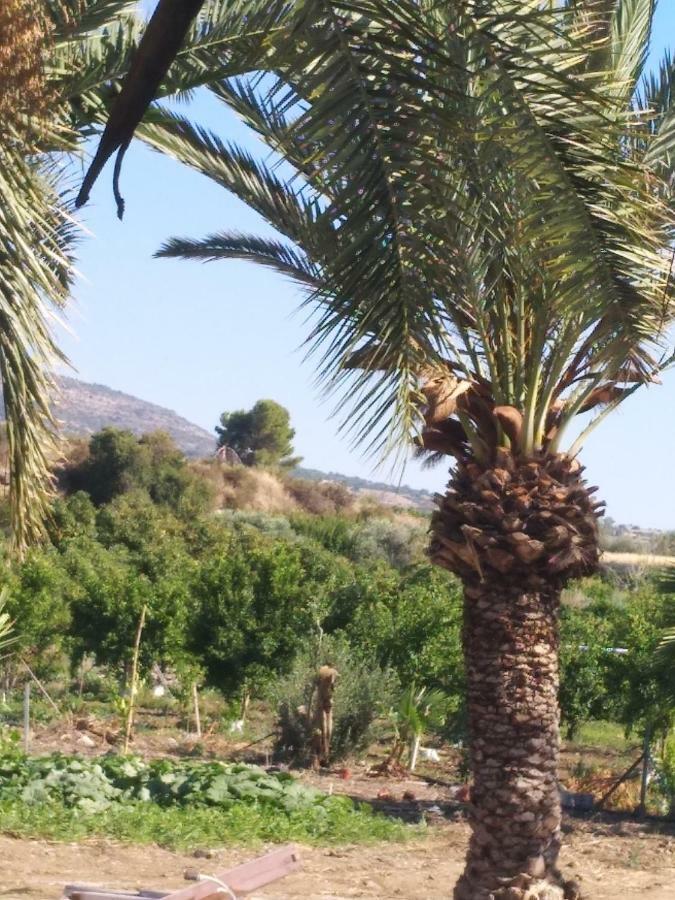 Argaka Palm Tree Apts Eksteriør bilde