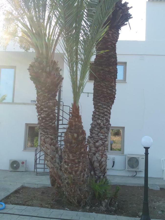 Argaka Palm Tree Apts Eksteriør bilde